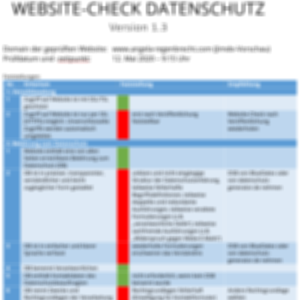 Website-Check vorher